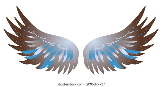 Beautiful brown blue bird wings, color vector illustration