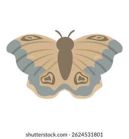 Beautiful brown butterfly spreading its wings with blue decorations
