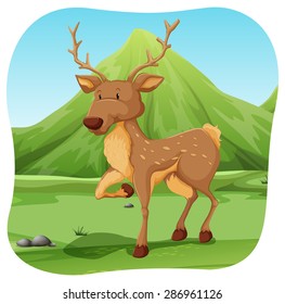 Beautiful brown deer standing on a grassland