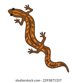 Beautiful Brown exotic salamander ,good for graphic design resources, posters, banners, templates, prints, coloring books and more.