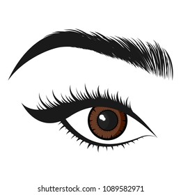 Beautiful brown eye. Vector illustration