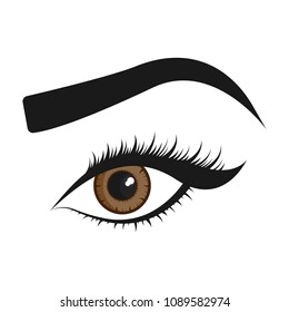 Beautiful brown eye. Vector illustration