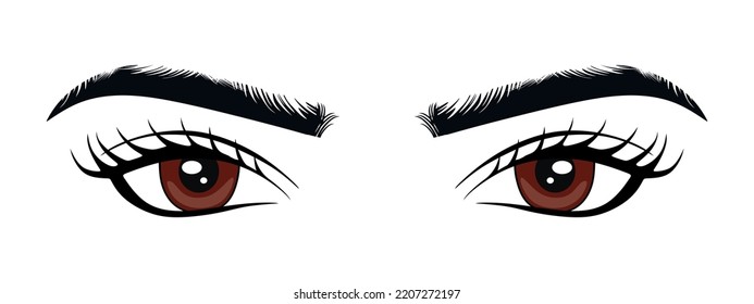 Hermosos ojos marrones de una mujer con largos latigazos. Los ojos marrones aislados en el fondo blanco. ilustración vectorial eps10