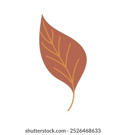 Beautiful brown falling leaf of laurel. beech, chestnut, alder tree isolated on white background. Hand drawn vector flat colored illustration. Autumn icon, symbol, foliage design, sticker