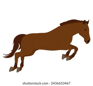 Beautiful brown jumping horse, vector illustration