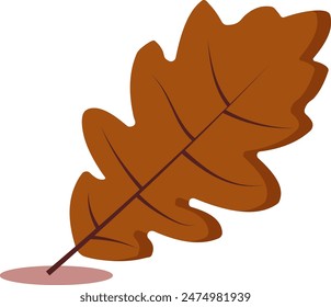 beautiful brown leaf elements in autumn