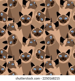 Beautiful brown Siamese cats with blue eyes. Animal seamless pattern, background, print. Vector illustration