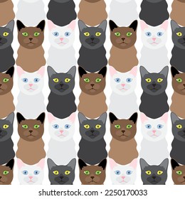 Beautiful brown, white and black cats. Animal seamless pattern, background, ornament, print. Vector illustration