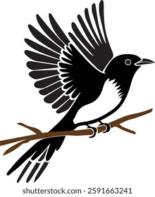 A beautiful Bulbul Bird silhouette illustration
