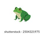 Beautiful Bull Frog vector artwork