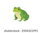 Beautiful Bull Frog vector artwork