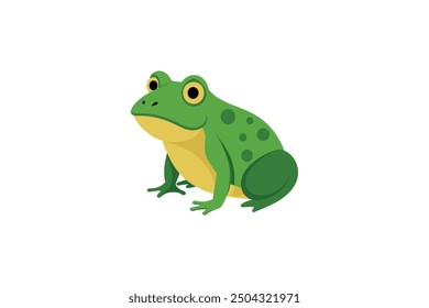 Beautiful Bull Frog vector artwork