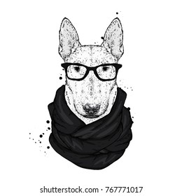 A beautiful bull terrier with glasses and a scarf. Vector illustration with thoroughbred dog. Hipster.