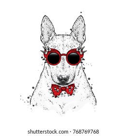 A beautiful bull terrier with glasses and a tie with thorns. Fashion & Style. Clothes and accessories. Vector illustration for greeting card or print on clothes. Pedigree dog. The animal is a hipster.