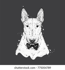 A beautiful bull terrier with a tie with thorns. Fashion & Style. Clothes and accessories. Vector illustration for greeting card or print on clothes. Pedigree dog. The animal is a hipster.