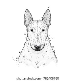 A beautiful bull terrier with a tie with thorns. Fashion & Style. Clothes and accessories. Vector illustration for greeting card or print on clothes. Pedigree dog. The animal is a hipster.