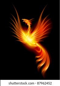 Beautiful Burning Phoenix. Illustration isolated over black background