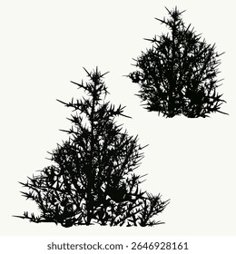 Beautiful bush of thorny wild plant silhouette