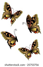 Beautiful butterflie