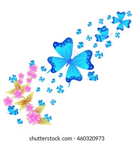 beautiful butterflies 