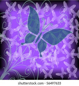 Beautiful butterflies