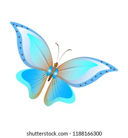 beautiful butterflies, blue. isolated on a white.