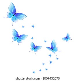 beautiful butterflies, blue,isolated on a white