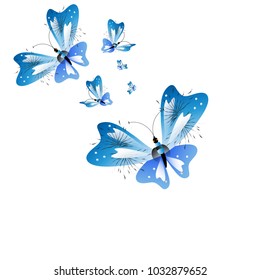 beautiful butterflies, blue,isolated on a white