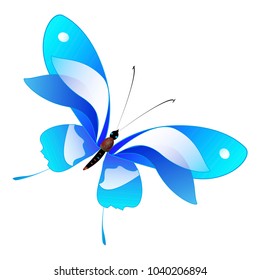 beautiful butterflies, blue,isolated on a white
