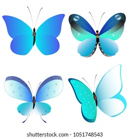 beautiful butterflies, blue,isolated on a white