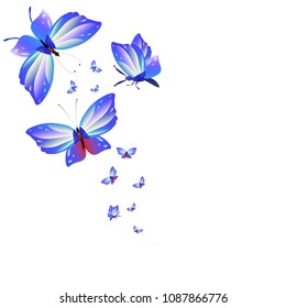 beautiful butterflies, blue,isolated on a white