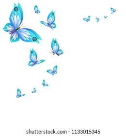 beautiful butterflies, blue,isolated on a white