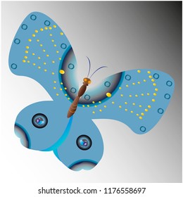 beautiful butterflies, blue,isolated on a white