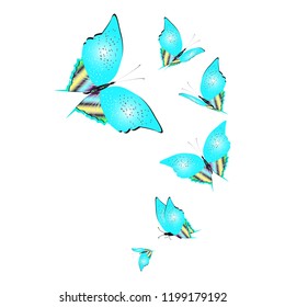 beautiful butterflies, blue,isolated on a white
