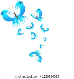 beautiful butterflies, blue,isolated on a white