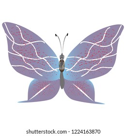 beautiful butterflies, blue,isolated on a white
