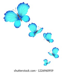 beautiful butterflies, blue,isolated on a white