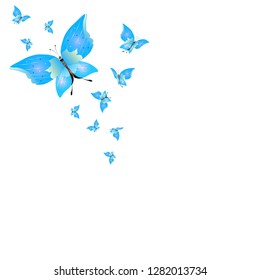 beautiful butterflies, blue,isolated on a white