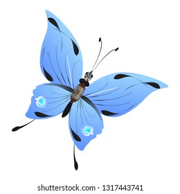 beautiful butterflies, blue,isolated on a white