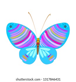 beautiful butterflies, blue,isolated on a white