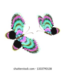 beautiful butterflies, blue,isolated on a white