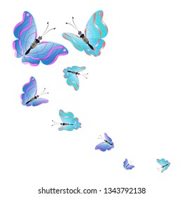 beautiful butterflies, blue,isolated on a white