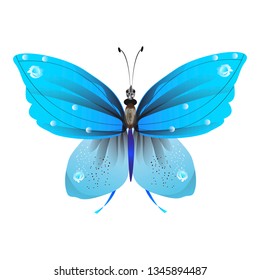beautiful butterflies, blue,isolated on a white