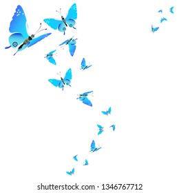 beautiful butterflies, blue,isolated on a white