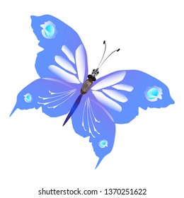 beautiful butterflies, blue,isolated on a white