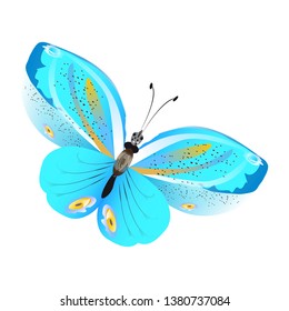 beautiful butterflies, blue,isolated on a white