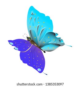 beautiful butterflies, blue,isolated on a white