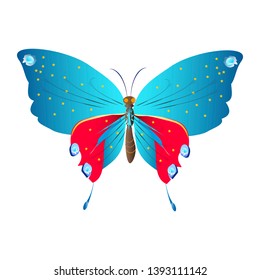 beautiful butterflies, blue,isolated on a white