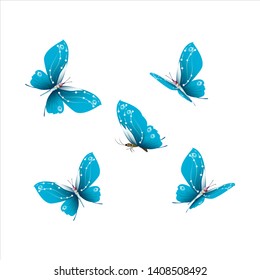 beautiful butterflies, blue,isolated on a white