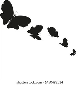 beautiful butterflies, blue,isolated on a white